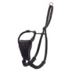 Picture of Halti No Pull Harness Large x 1