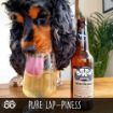 Picture of Bottom Sniffer Dog Beer for Dogs 330ml x 1