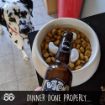 Picture of Bottom Sniffer Dog Beer for Dogs 330ml x 1