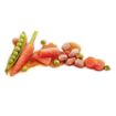 Picture of Pedigree Pouch Adult Mixed Selection in Gravy 100g x 40