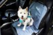 Picture of Henry Wag Pet Single Car Seat Cover x 1