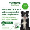Picture of Lintbells YuMOVE One-a-Day for Medium Dogs 30-tasty bites x 1