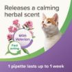 Picture of Beaphar Cat Calming Spot-On x 1