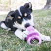 Picture of Puppy KONG Binkie Dummy - Medium x 1