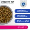 Picture of Perfect Fit 1+ Adult Cat Complete Salmon 2.8kg x 1