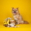 Picture of Yakers Dog Chew PEANUT BUTTER & BANANA XL x 10
