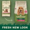 Picture of Harringtons Adult Dog Salmon & Potato 12kg