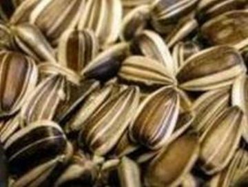 Picture of Johnston & Jeff Striped Sunflower Seed 10kg