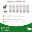 Picture of Iams Cat - Lamb 800g