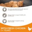 Picture of Iams Kitten Chicken 2kg