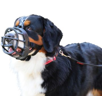 Picture of Baskerville Ultra Muzzle - Size 6 x 1