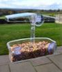 Picture of Supa Wild Bird Feeder Window Feeder x 1