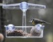 Picture of Supa Wild Bird Feeder Window Feeder x 1