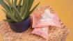 Picture of Adios Compostable 25 Pet Wipes x1