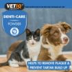 Picture of VETIQ 2 in 1 Denti-Care Granules 60g x 1