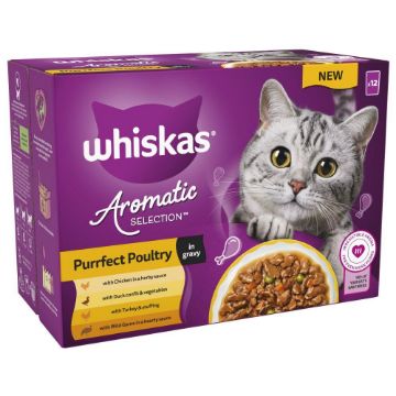 Picture of Whiskas Pouch 1+ Aromatic Poultry in Gravy 85g 12-Pack x 4