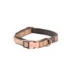 Picture of ROGZ URBAN Classic Dog Collar Gold Rush Small 