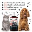Picture of Bugalugs Scottish Salmon Oil 500ml x 1