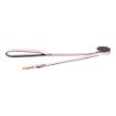 Picture of ROGZ URBAN Classic Dog Lead Pink Blush Medium 1.8m