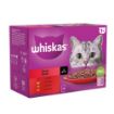 Picture of Whiskas Pouch 1+ Meaty Meals Gravy 85g 12-Pack x 4