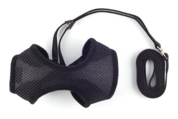 Picture of Ancol Cat Comfort Harness & Lead Set Medium Black x 1
