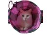 Picture of Ancol Super Cat Play Tunnel - Y-Shape x 1