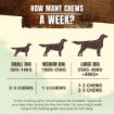 Picture of Purina Adventuros Wild Chews Medium x 6