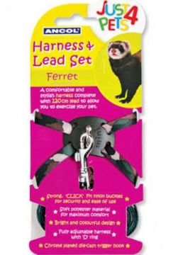 Picture of Ancol Ferret Harness & Lead Set x 1