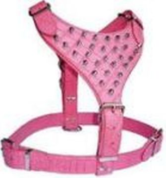 Picture of Avon Large Mastiff 'Breastplate' Harness - Spiked Pink Croc Leather x 1