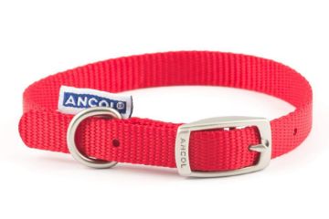 Picture of Ancol Viva Nylon Buckle Collar 20-26cm Size 1 Red x 1