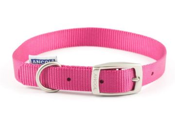 Picture of Ancol Viva Nylon Buckle Collar 35-43cm Size 4 Pink 18" x 1
