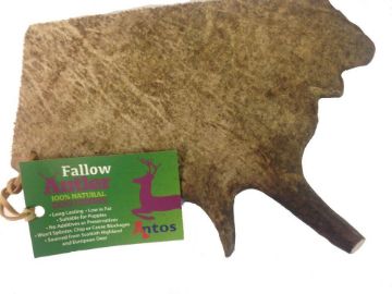 Picture of Antos Fallow Deer Antlers - Large x 1