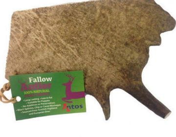 Picture of Antos Fallow Deer Antlers - Medium x 1