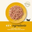 Picture of Applaws Kitten Can - Chicken 70g x 24