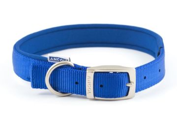 Picture of Ancol Padded Nylon Buckle Collar - Blue 24" x 1