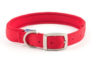 Picture of Ancol Padded Nylon Buckle Collar - Red 24" x 1