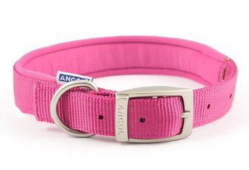 Picture of Ancol Padded Nylon Buckle Collar - Pink 26" x 1