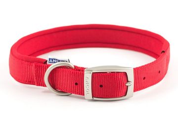Picture of Ancol Padded Nylon Buckle Collar - Red 26" x 1
