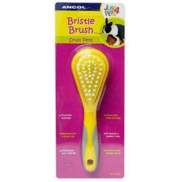 Picture of Ancol Small Animal Bristle Brush x 1