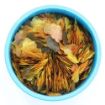 Picture of Aquarian Tropical & Temperate Flake Fish Food 200g x 1