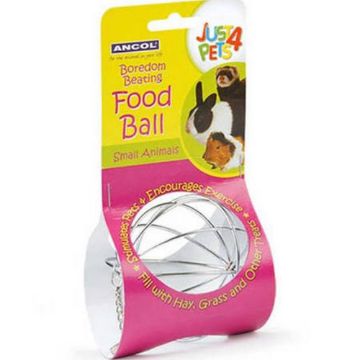 Picture of Ancol Hanging Wire Food Ball x 1