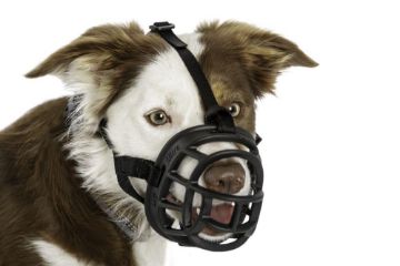 Picture of Baskerville Ultra Basket Muzzle Size 3 x 1