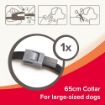 Picture of Beaphar Canishield Dog Flea & Tick Collar Small/Medium 48cm x 1