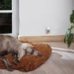 Picture of Beaphar DOG CaniComfort Calming Diffuser 30-Day Refill x 1