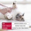 Picture of Beaphar FIPROtec Cat Flea Drops 1 Tube x 1