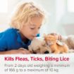 Picture of Beaphar FIPROtec Flea, Tick & Lice Spray 100ml x 1