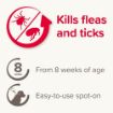 Picture of Beaphar FIPROtec Large Dog Flea Drops - 1 Tube x 1