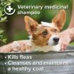 Picture of z [DISC] Beaphar Insecticidal Dog Shampoo (Green) 250ml x 1