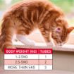 Picture of Beaphar Worm Clear Spot-On Cats & Kittens 2-tube x 1
