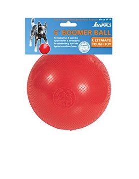 Picture of Company of Animals Boomerball 6" x 1